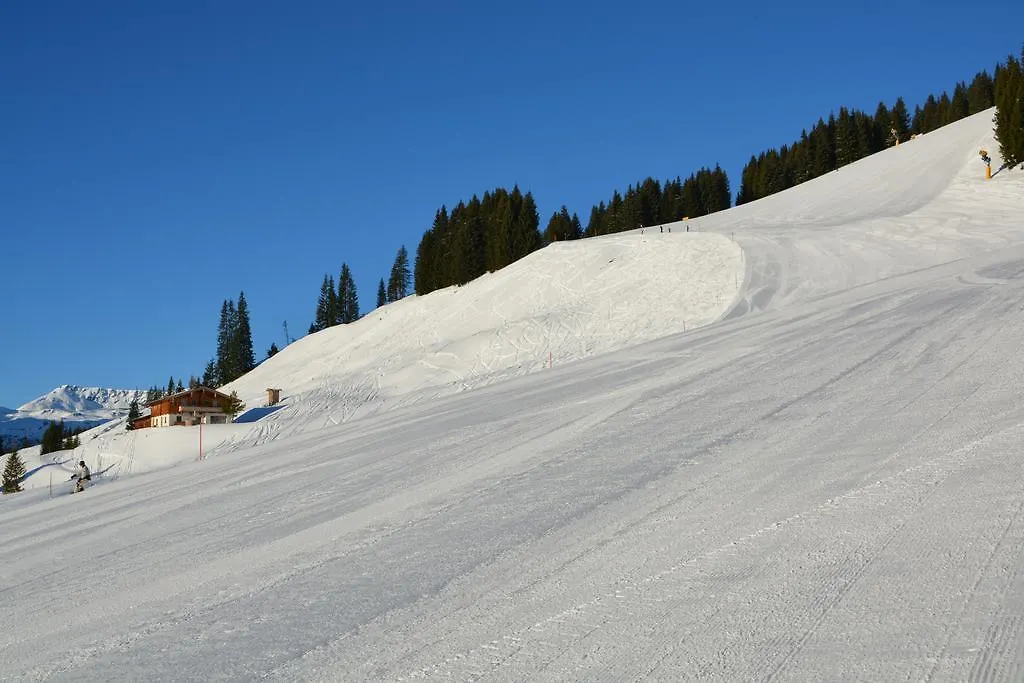 Wallegg Lodge - Alpine Premium Chalet - Ski In-Ski Out - Real Alpine Location Saalbach Saalbach-Hinterglemm