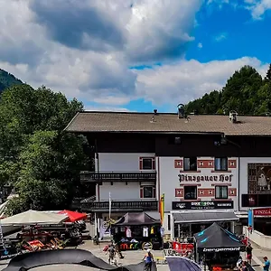 3* Отель Pinzgauerhof - Inclusive Evening Dinner And Joker Card In Summer