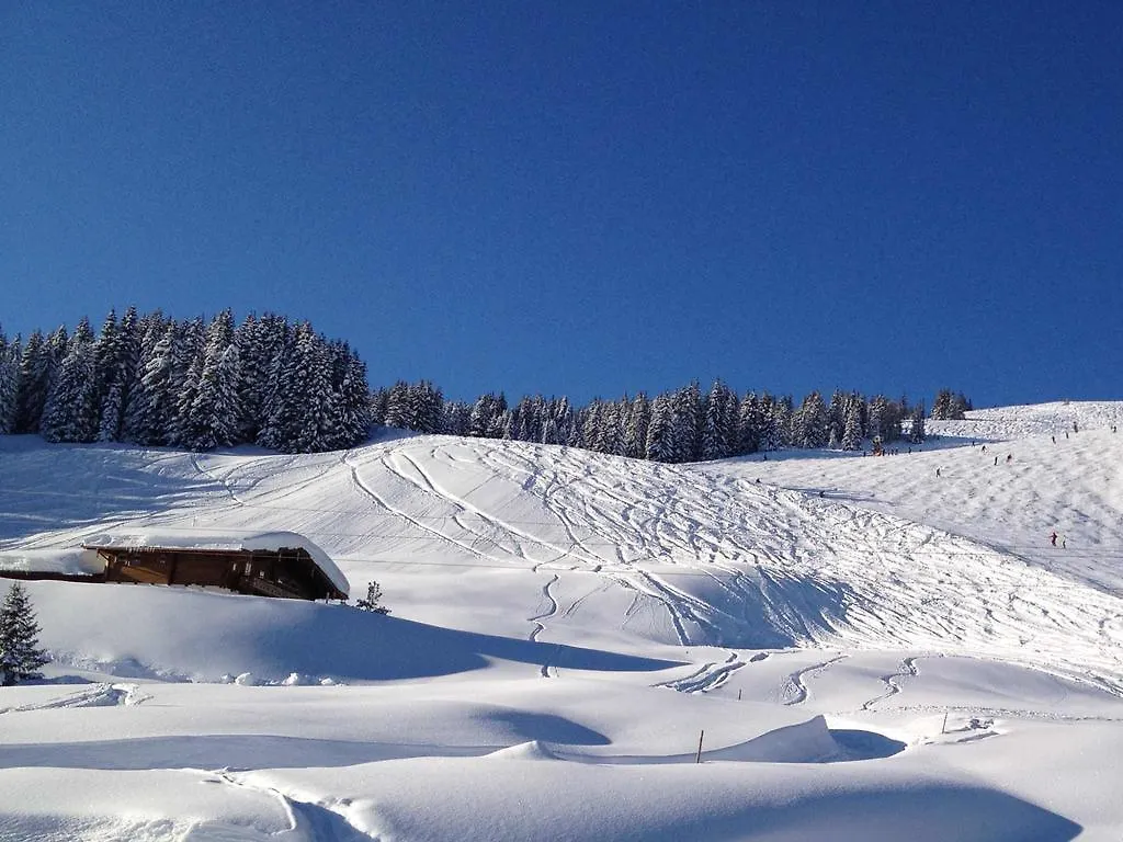 Wallegg Lodge - Alpine Premium Chalet - Ski In-Ski Out - Real Alpine Location Saalbach