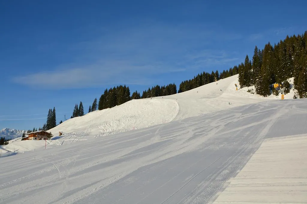 Wallegg Lodge - Alpine Premium Chalet - Ski In-Ski Out - Real Alpine Location Saalbach 0*, Saalbach-Hinterglemm